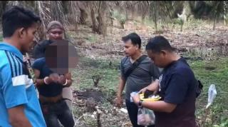 Tunggu Pelanggan, Pengedar Narkotika Diringkus di Kebun Sawit