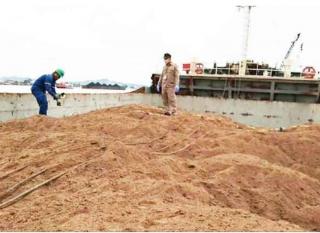 Limbah Sawit Senilai Rp 15,03 Miliar Diekspor ke Tiongkok