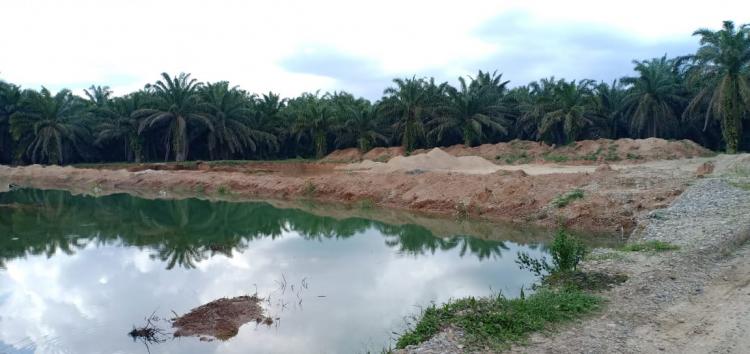 Kapolres Rohul Janji Akan Tindak Galian C Ilegal di Kebun Sawit