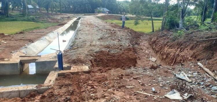Jaringan Irigasi Dibangun, tapi Pemilik Sawah Banyak Beralih ke Sawit
