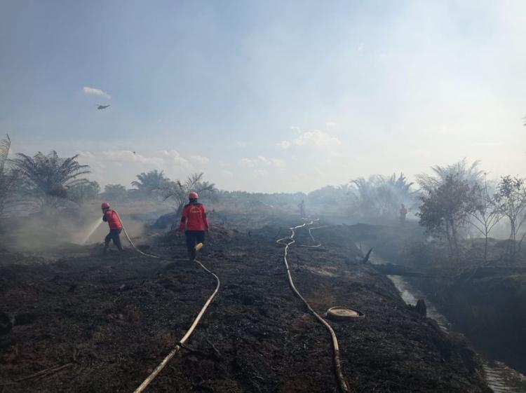 Dua Daerah Sudah Siaga Darurat Karhutla, BPBD: Untuk Riau Sudah Cukup Syarat