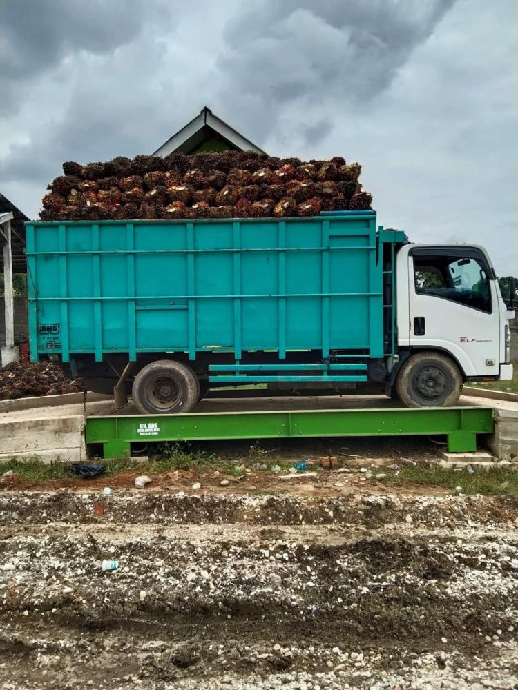 PKS Diingatkan Tidak Curangi Timbangan Sawit 