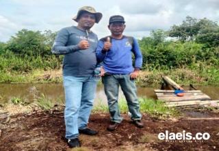 Biaya Kebun Sawit di Lahan Gambut Lebih Murah, Petani: Pemupukan Cukup 2 Kali Setahun