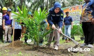 Bupati Inhu Keluarkan SE Naker Wajib MCU, Pemerhati Ketenagakerjaan Menyatakan Mendukung