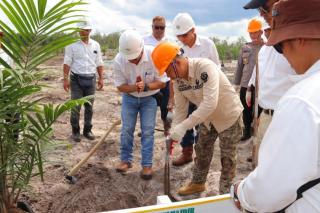 Direalisasikan Perusahaan, 224 Hektare Kebun Plasma Ditanam Perdana