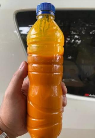 Miko Tambah Daftar Produk Sawit yang Diekspor dari Bengkulu