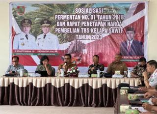 Duh..., Harga Resmi TBS Kalteng Turun Lagi, ini Sebabnya