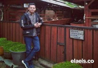 Petani Kelapa Sawit Tepuk Jidat, Bukan Soal Harga, Tapi karena Faktor Ini