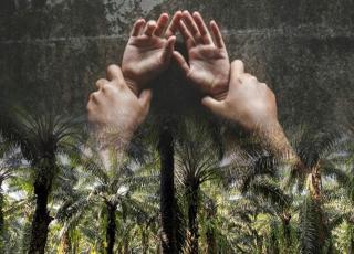 Oknum Pejabat di Bengkulu Selatan Kepergok Mesum di Dalam Mobil Tengah Kebun Sawit