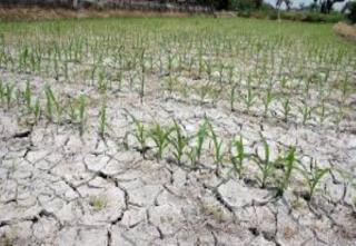 Maret-Agustus Sejumlah Daerah Berpotensi Hujan Kategori Rendah, Riau Tidak Termasuk