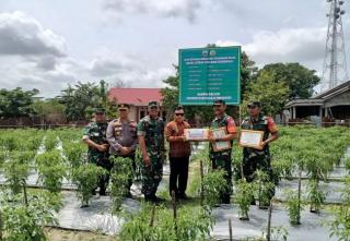 Prajurit TNI Ini Tanam Cabai Rawit Redam Inflasi, Dandim Beri Apresiasi