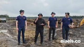 Ternyata Ada Peminat Batang dan Pelepah Sawit, Kebun PSR Diincar