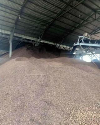 Produksi Limbah Sawit Melimpah, Mukomuko Tunggu Kehadiran Investor