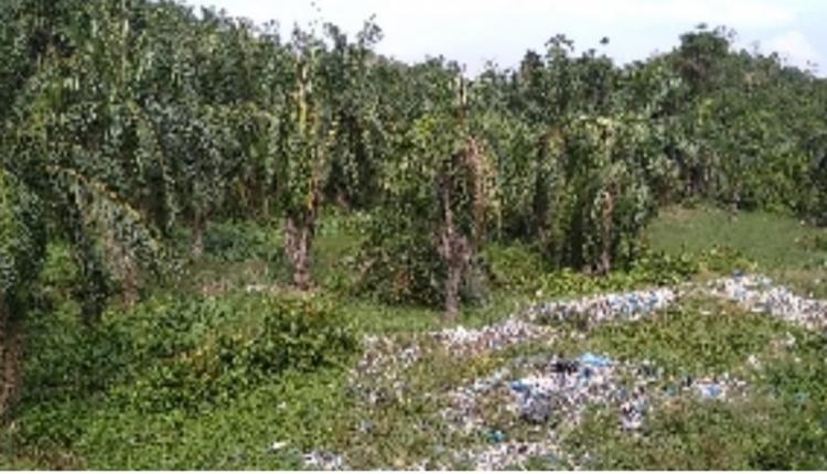 Sampah TPA Meluber ke Kebun Sawit, Pemilik Minta Ganti Rugi