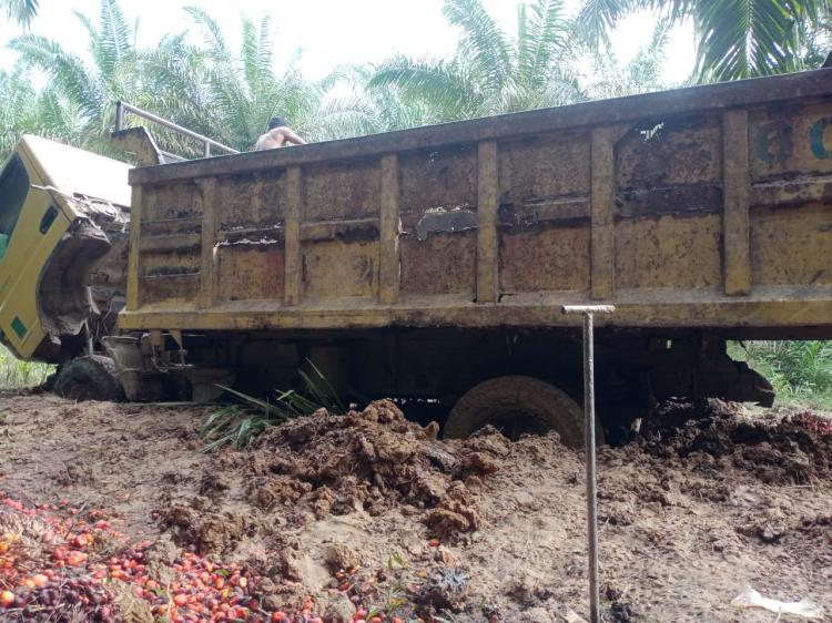 Telisik Sistem Kerja Karyawan, Komisi I DPRD Rohul Akan Panggil PT SAM II