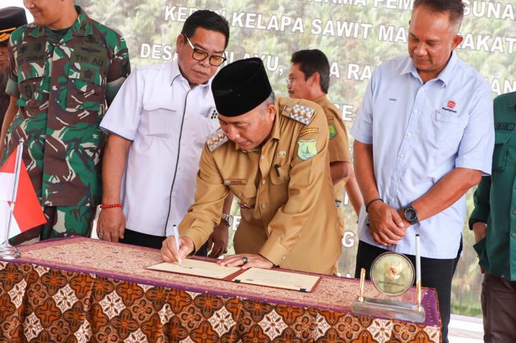 Kebun Plasma Sawit Pola Baru Mulai Dibangun di Muba