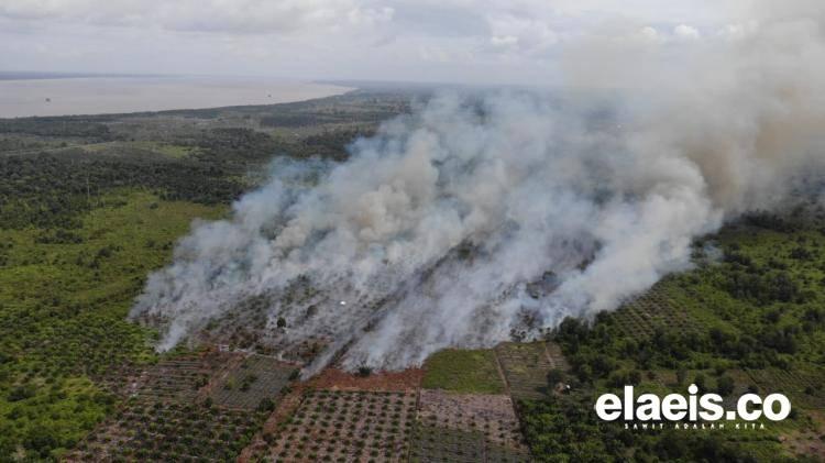 Hari Ini, Hotspot Terpantau Tiga Daerah di Riau 