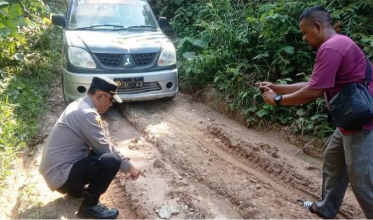 Jejak Harimau Ditemukan di Kebun Sawit, Warga Diminta Lakukan ini