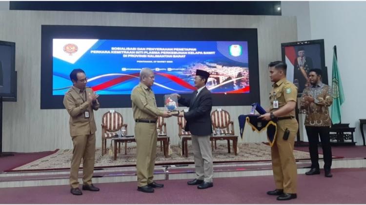 Plasma 20 Persen Jadi Biang Utama Konflik Kemitraan Perusahaan Sawit