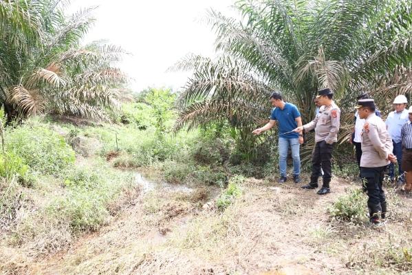 Terduga Pembunuh Bocah Perempuan di Kebun Sawit Berhasil Ditangkap