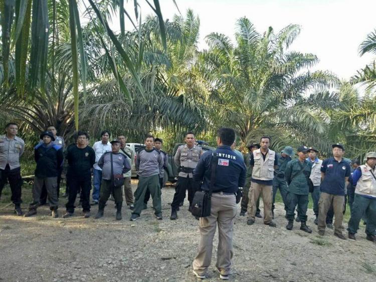 Masyarakat Diingatkan Tidak Tanam Sawit di Cagar Alam