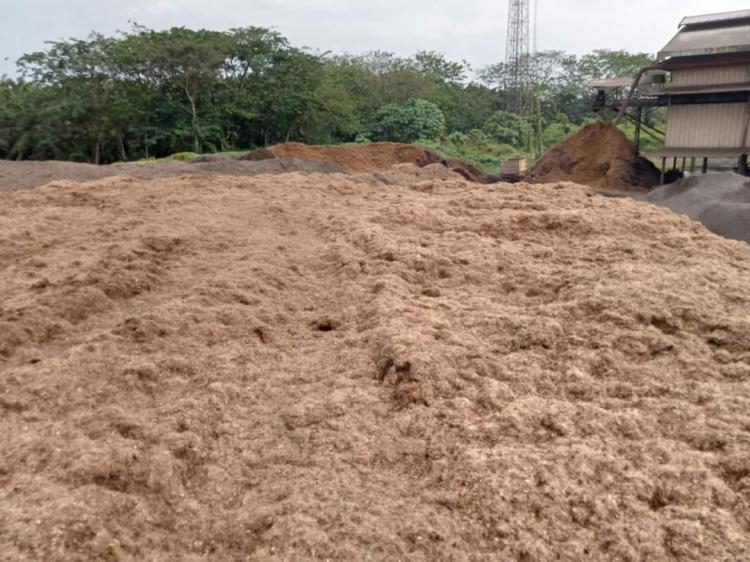 Pelaku Usaha Diminta Garap Potensi Fiber Kelapa Sawit