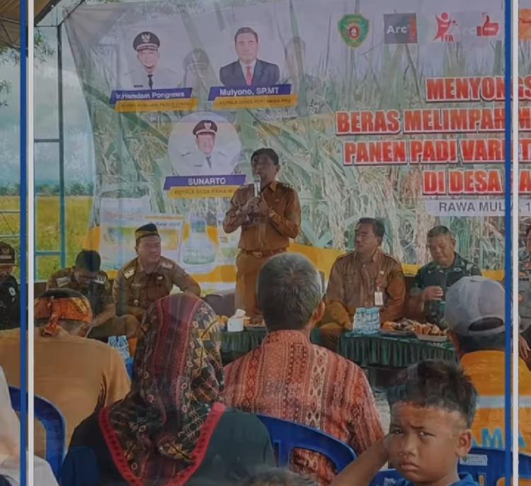 Petani Diminta Hentikan Konversi Sawah Jadi Kebun Sawit