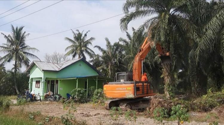 Areal PTPN 2 Kebun Bulu Cina Dikosongkan dari 101 Penggarap