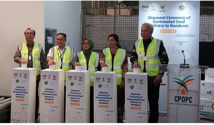 Petani Sawit Honduras Dapat Kiriman 102 Ribu Bibit dari Indonesia Dan Malaysia