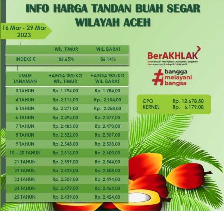 Harga TBS Wilayah Timur Ditetapkan Lebih Mahal dari Kawasan Barat Aceh 