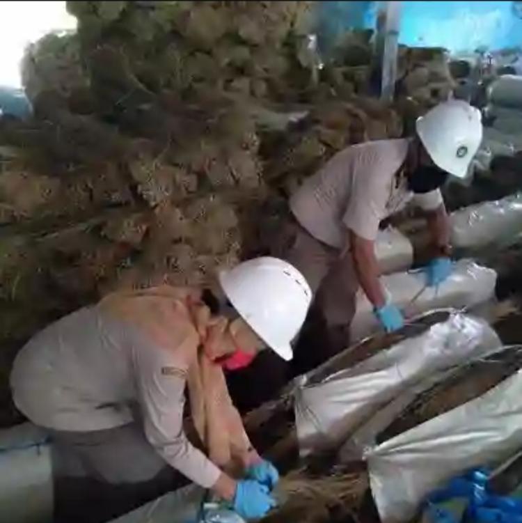 Petani Diminta Manfaatkan Lidi Sawit Sebagai Sumber Penghasilan