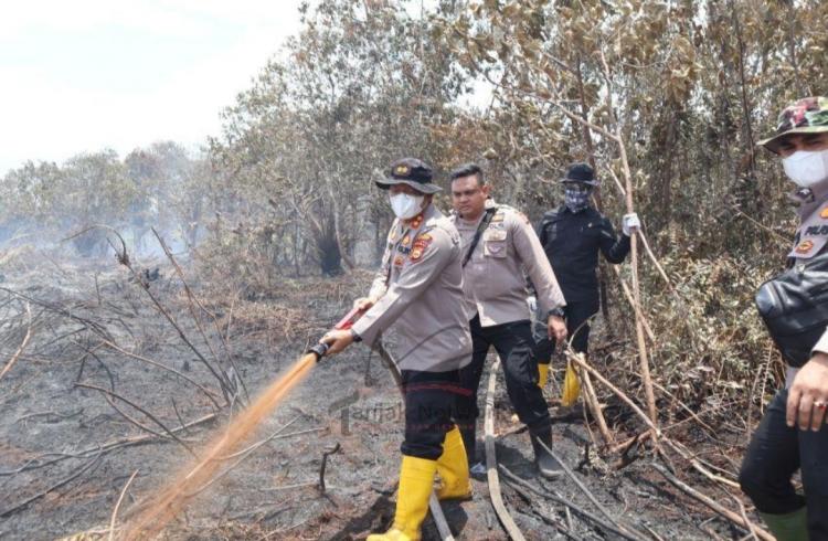 10 Hektar Lahan Hangus Gara-gara Ada yang Mau Berkebun Sawit