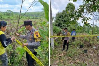 Berkebun di Kawasan Hutan, Mantan Security Ditangkap Polisi