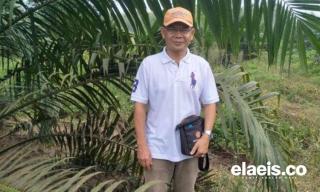 Petani Dukung Pemkab Bangka Barat Bentuk Timsus Kelapa Sawit