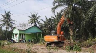 Areal PTPN 2 Kebun Bulu Cina Dikosongkan dari 101 Penggarap