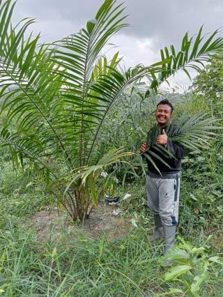 Produksi Turun, Petani ini Justru Perluas Kebun