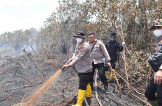 10 Hektar Lahan Hangus Gara-gara Ada yang Mau Berkebun Sawit