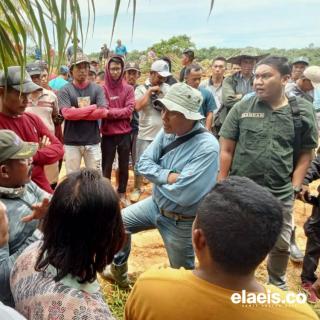 Petani Berontak: Korporasi HTI Jangan Tebang Sawit Kami!