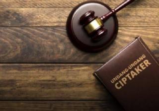 Soal Kawasan Hutan, DPW Apkasindo Kalteng: Pemerintah Harus Tegas