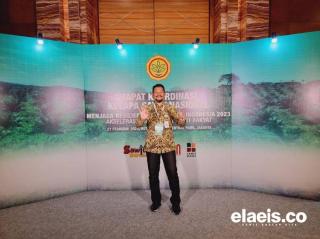 Tidak Banyak Karhutla Terjadi di Kebun Sawit Bengkalis