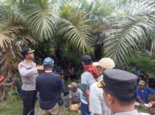 PT DSJ Bantah Kabar Izin Usahanya Telah Dicabut