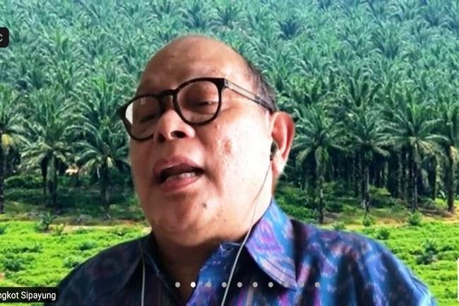 Tungkot: Banyak Kebohongan di CIFOR