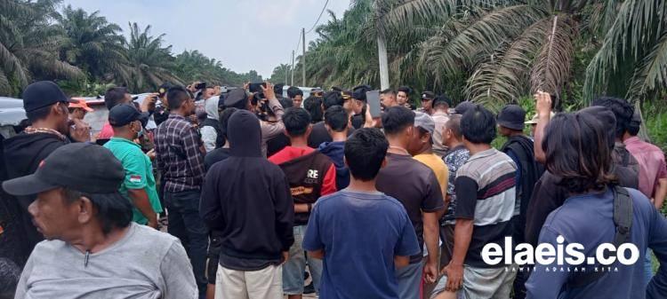 Bikin Resah karena Duduki Kebun Sawit Warga, IPK dan Ormas LLMB Usir Gerombolan Suruhan PT DSI di Siak 
