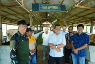 Danrem 012/TU Mau Kembangkan Integrasi Sawit-Sapi di Barsela