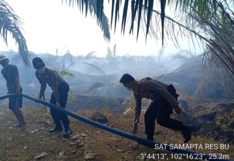 Suhu Udara Capai 36 Derajat Celcius, Petani Diminta Waspada