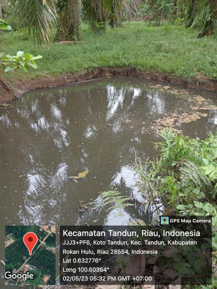 DLH Rohul Jadwalkan Rapat Bahas Dugaan Pencemaran PKS PT SSM