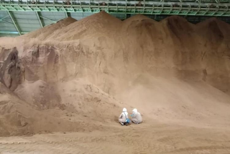 Cangkang dan Bungkil Harus Diperhitungkan untuk Menetapkan Harga TBS