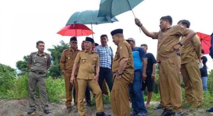Bupati Sigi Minta Musnahkan Sawit, Diganti Tanaman ini