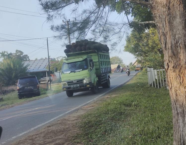 Pemilik Peron Akui Sengaja Lebihkan Muatan Truk TBS