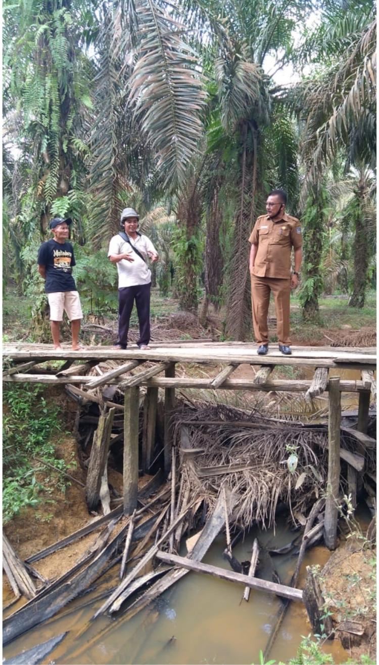 Pemkab Mukomuko Gunakan DBH Sawit untuk Perbaiki Jalan Kebun Rakyat